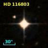HD 116803