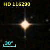 HD 116290
