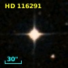 HD 116291