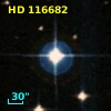 HD 116682