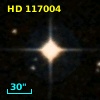 HD 117004