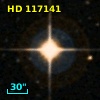 HD 117141