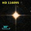 HD 116095