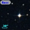 Ross  474