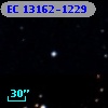 EC 13162-1229