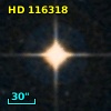 HD 116318