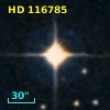 HD 116785