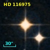 HD 116975