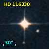 HD 116330