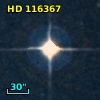 HD 116367