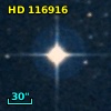 HD 116916