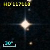 HD 117118