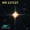 HD 117127