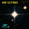HD 117363