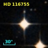 HD 116755