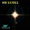 HD 117011