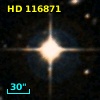 HD 116871