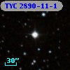 TYC 2890-11-1