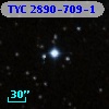 TYC 2890-709-1