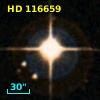HD 116659