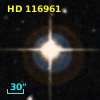 HD 116961