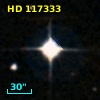 HD 117333