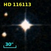 HD 116113