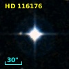 HD 116176