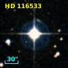 HD 116533