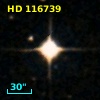 HD 116739
