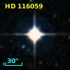 HD 116059