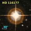 HD 116177