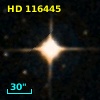 HD 116445