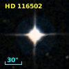 HD 116502