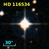 HD 116534