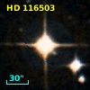HD 116503