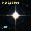 HD 116804