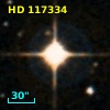 HD 117334