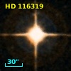 HD 116319