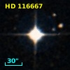 HD 116667