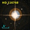 HD 116768