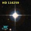 HD 116259