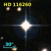HD 116260