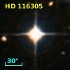 HD 116305