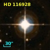 HD 116928
