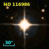 HD 116986