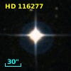 HD 116277