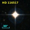 HD 116517