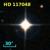 HD 117048