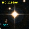 HD 116696